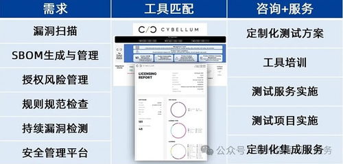 基于信息安全的软测工具链解决方案